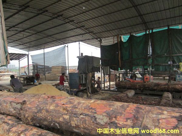 �D���S�^�������I�� �c���ɷŴ�