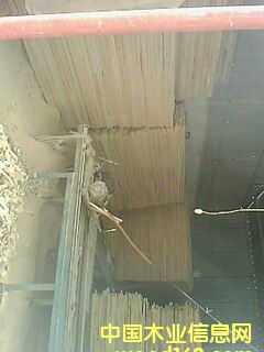 �D����ľ �c���ɷŴ�