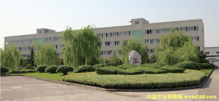 �D����˾һ�� �c���ɷŴ�