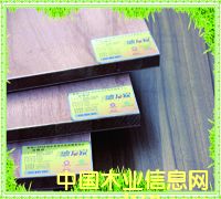 �D�����f��18mm�����R���� �c���ɷŴ�