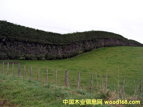 �D�������m����ؘ��� �c���ɷŴ�