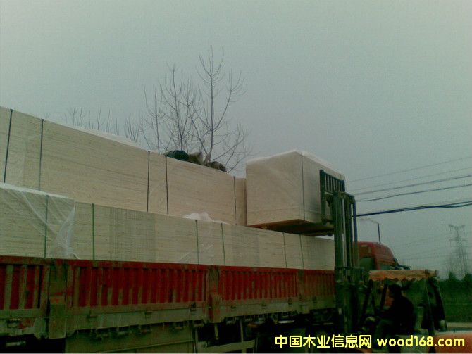 �D���b܇ �c���ɷŴ�