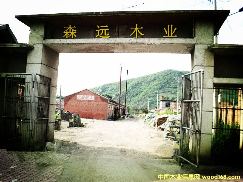 �D��ɭ�h(yu��n)ľ���ӹ��S �c(di��n)���ɷŴ�