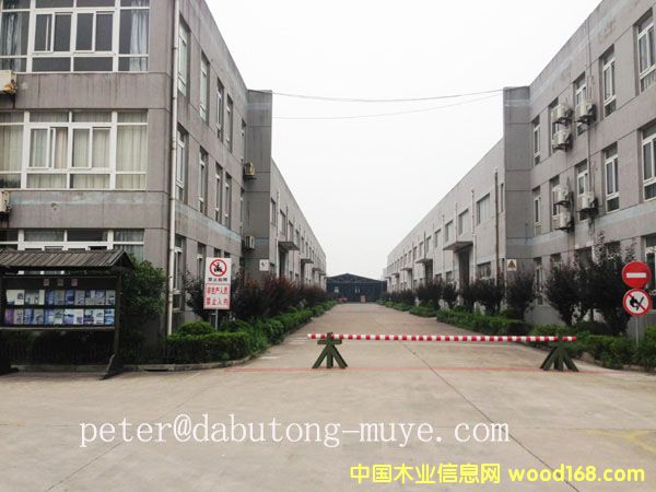 �D�����S �c���ɷŴ�