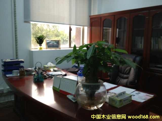 �D���������k���� �c���ɷŴ�