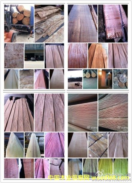 �D����� �c���ɷŴ�