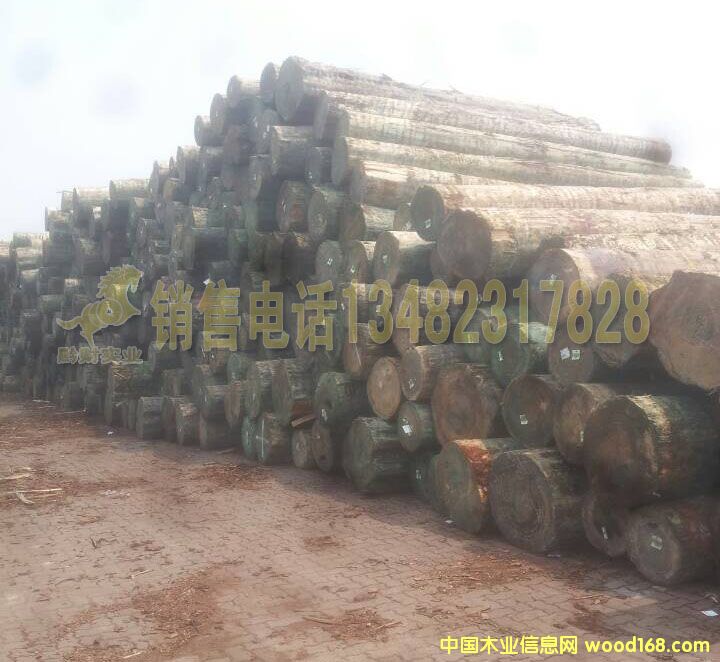 �D��ԭľ�ш� �c���ɷŴ�