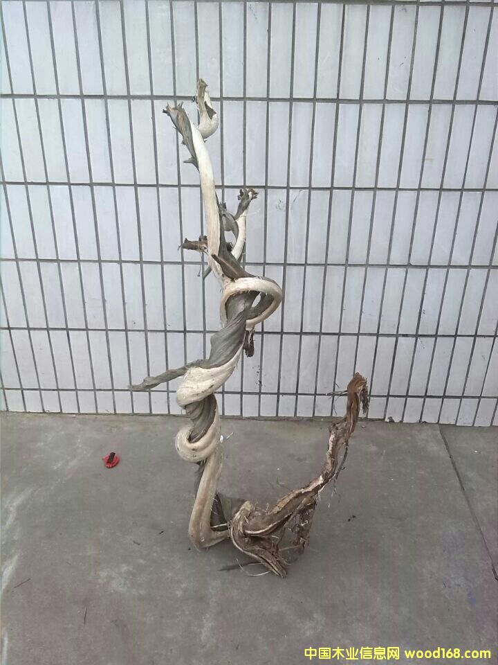 �D���°س�Ʒ �c���ɷŴ�