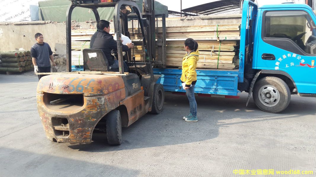 �D���l؛�� �c���ɷŴ�