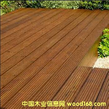 �D��������ľ����� �c���ɷŴ�