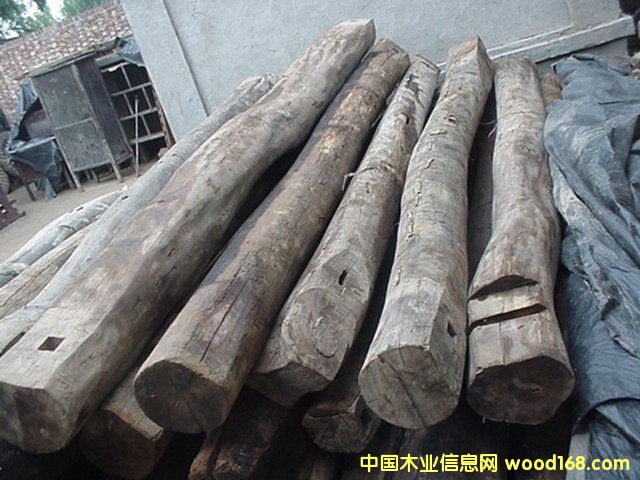 �D����ʢԴľ�I �c���ɷŴ�