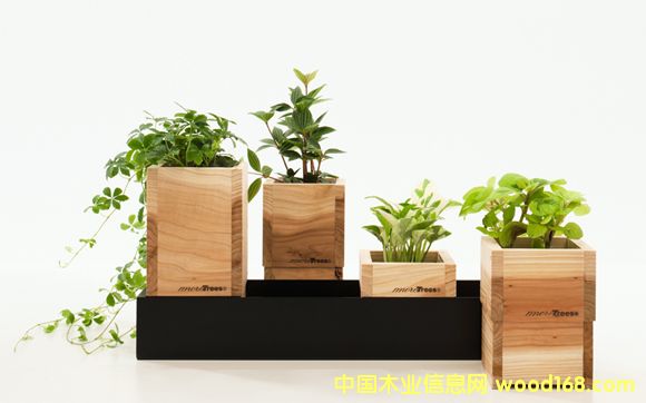 �D��ָ���M�ڰ���ԭľ���P���P�������͑�������Ƭ �c���ɷŴ�