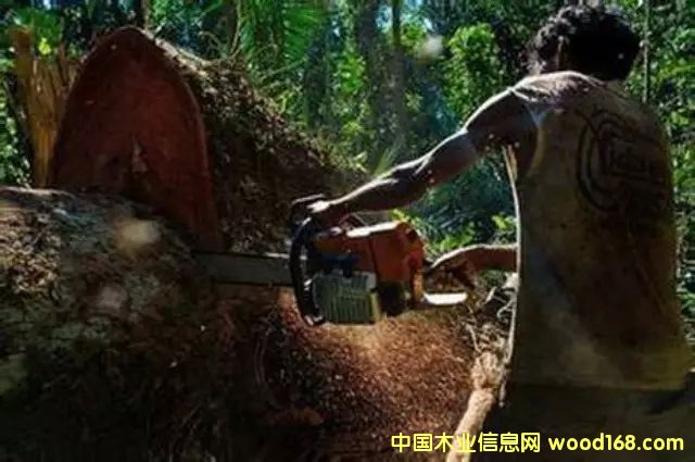 �D����������Ϣ���W2��8�Ո������ý�Q���Ї��¸��A�Ӳ����j���������������L�|�ρ���ϡľ�ĵķǷ��Q�ף������l���ξo������Y�Y�ǖ|�ρ����ҵ���Ȼ�YԴ���������޴�ı��������� �c���ɷŴ�