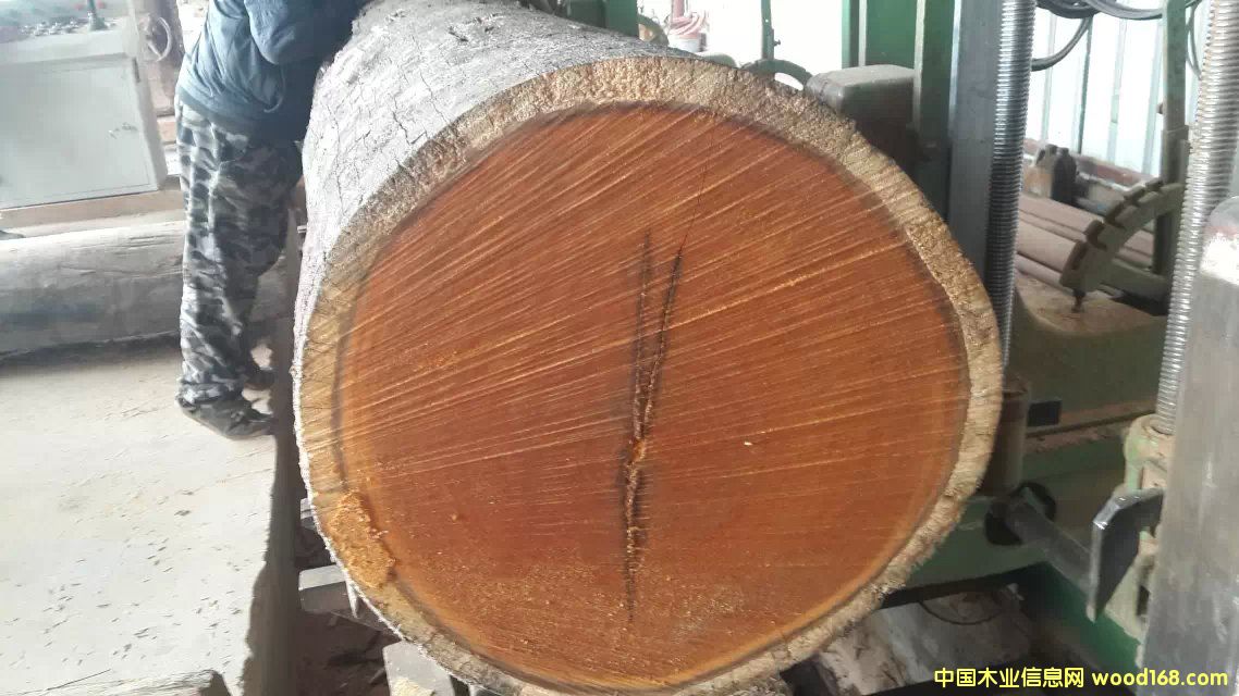 �D���Ϻ�����ľ�I �c���ɷŴ�