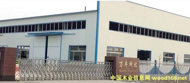 �D����˾һ�� �c���ɷŴ�