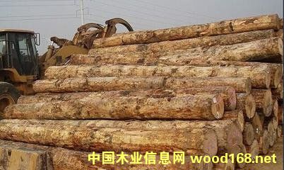 �D�������mݗ���� �c���ɷŴ�