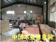 �D����˾���� �c���ɷŴ�