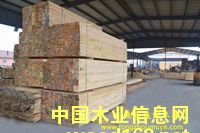 �D��ͨ�ވ@�^�ӹ� �c���ɷŴ�