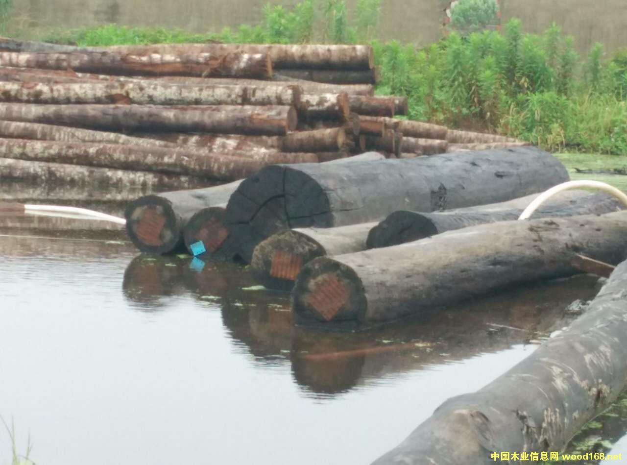 �D���Ĵ�������ľ ���� �c���ɷŴ�