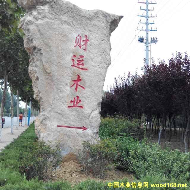 �D��ؔ�\ľ�I(y��) �c���ɷŴ�