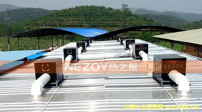 �D��ľ�ĺ���O�� �c���ɷŴ�