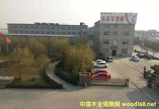 �D���R�ʃ���ľ�I �c���ɷŴ�