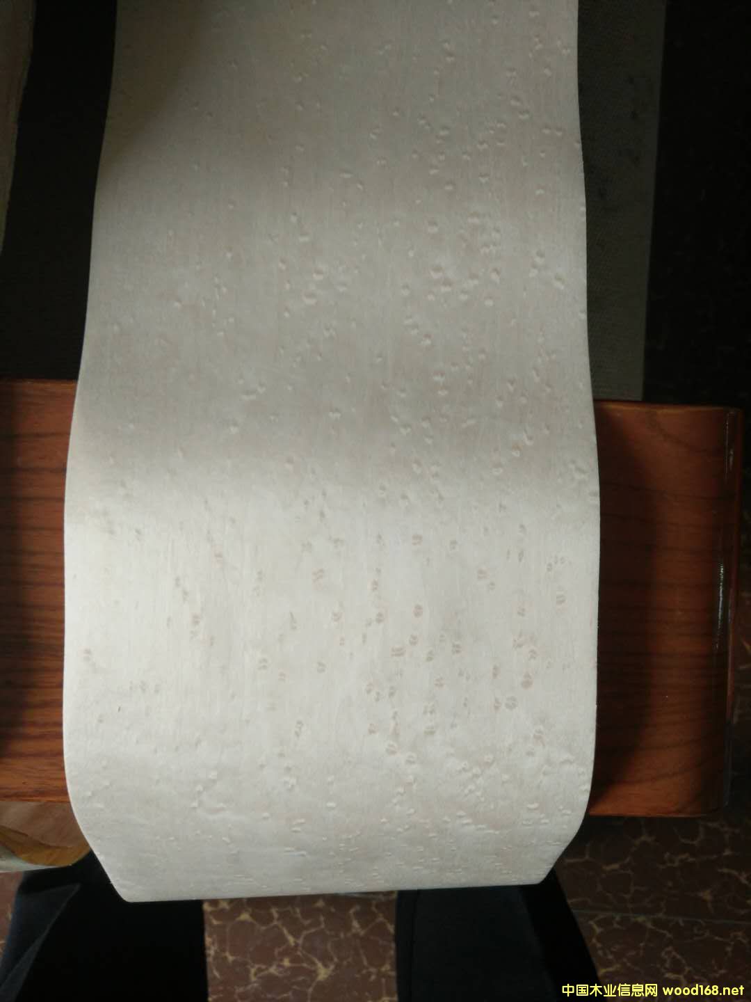 �D������ �c���ɷŴ�