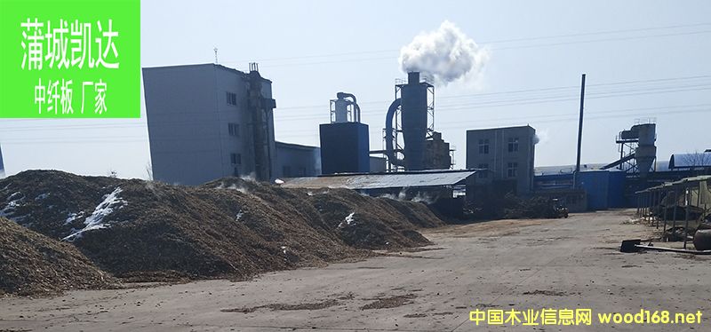 �D���P�_ľ�I�S�� �c���ɷŴ�