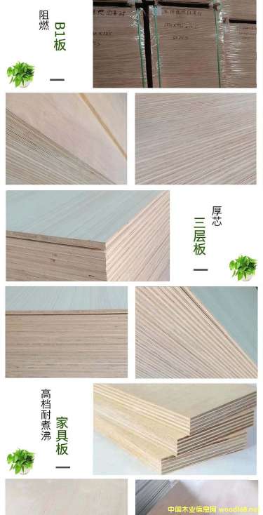 �D������� �c���ɷŴ�