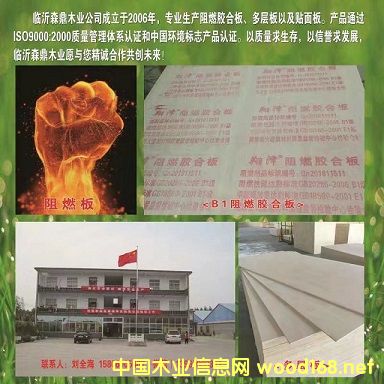 �D���R��ɭ��ľ�I(y��) �c(di��n)���ɷŴ�