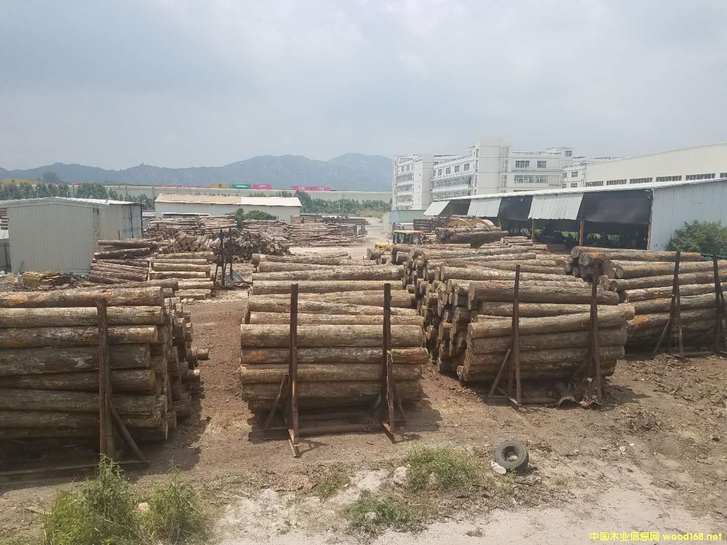 �D��ԭľ�ш� �c���ɷŴ�