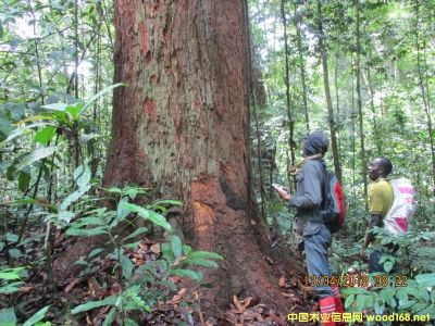 �D������������ֈ��֘I(y��)��У�(y��n)��ľ��(sh��)�� �c(di��n)���ɷŴ�