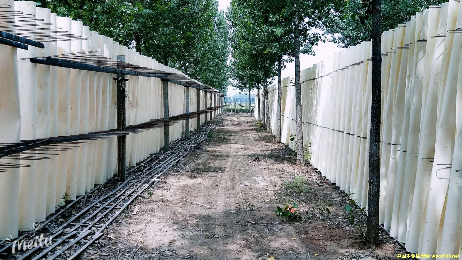 �D��.. �c���ɷŴ�