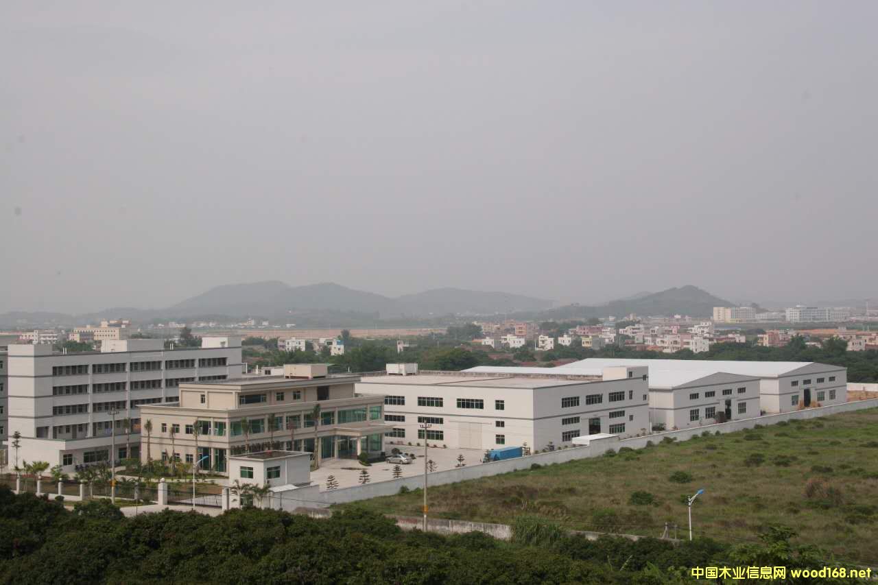 �D�����Sȫò �c���ɷŴ�