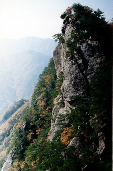 �D����eɽ �c���ɷŴ�