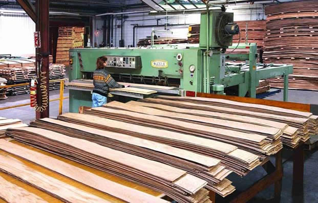 �D���������D��ľƤ 2 �c���ɷŴ�