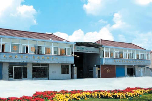 �D����˾�DƬ �c���ɷŴ�