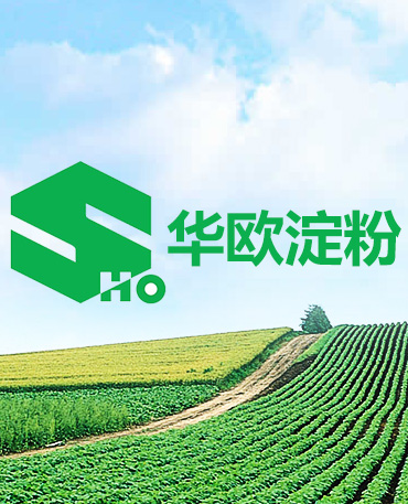 內蒙古自治區黨委督查室聯合調研組深入華歐淀粉公司調研