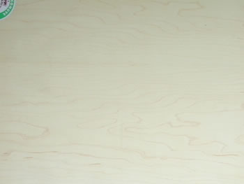 A���ח���Ԕ����B