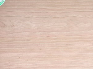 b�������z�ϰ��Ԕ����B