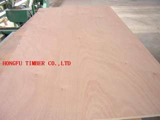 PLYWOOD��Ԕ����B