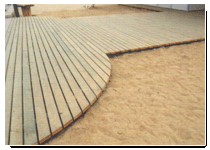 ����ľ�ĵ�Ԕ����B