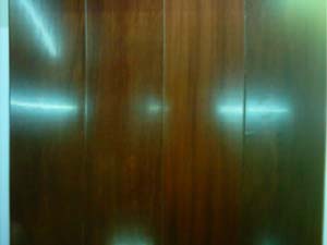 ��ľ����Ԕ����B