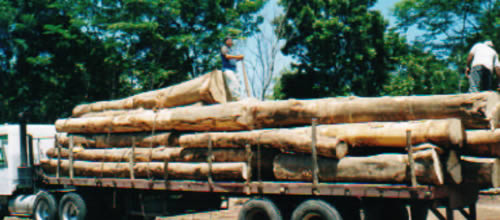 ��������ľԭľ��Ԕ��(x��)��B