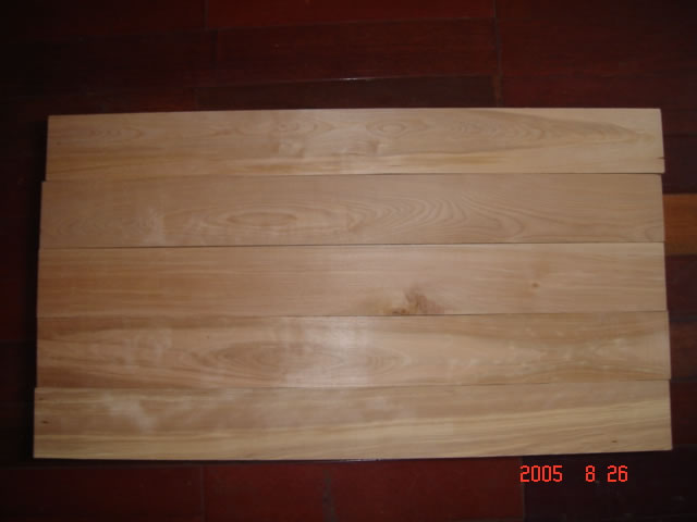 ���_˹��ľ��A������Ԕ����B