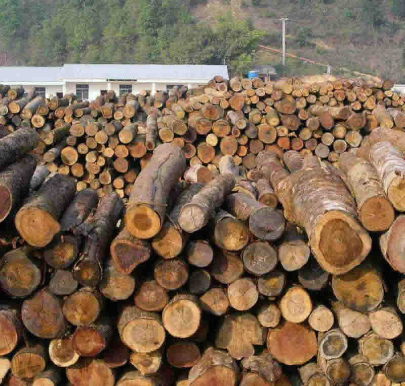 ԭľ��ĵ�Ԕ����B