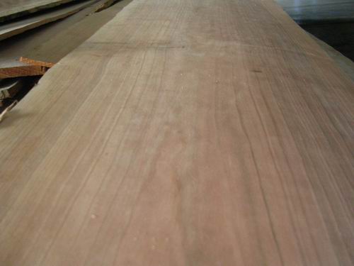 �������ұ����Ԕ����B