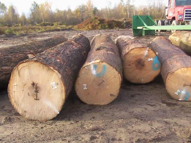 ����ԭľ--���ô��ľ��Ԕ����B