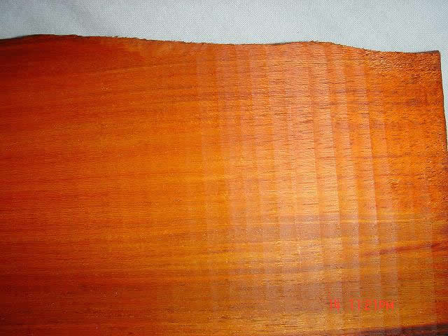 С�~��̴�����������Ƭ��Ԕ����B