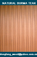 ����̩���N���b��Ԕ��(x��)��B